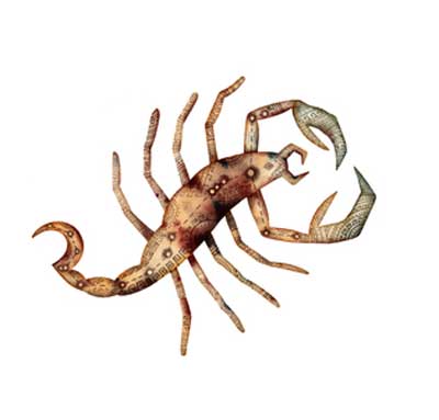 Sternzeichen Skorpion Sternzeichen Skorpion